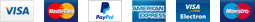 Icons of various payment methods including Visa, MasterCard, PayPal, American Express, and more.